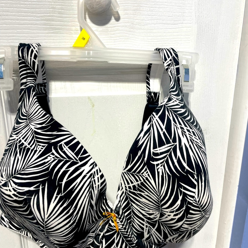 Cacique Plunge Bra